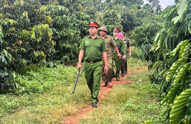 dan phòng bảo vệ cà phê