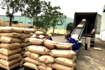 Xuất khẩu cà phê vượt thủy sản