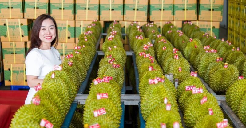 chất lượng sầu riêng (1)