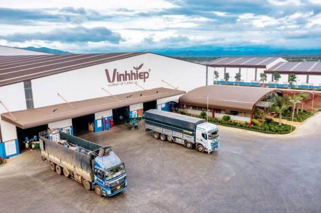 Vĩnh Hiệp dẫn đầu xuất khẩu cà phê nhân niên vụ 2025/26