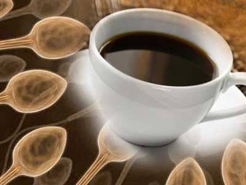 Cà phê giúp tăng khả năng sinh sản của nam giới