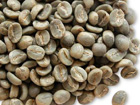Cà phê arabica - Các bài viết về Cà phê arabica, tin tức Cà phê arabica